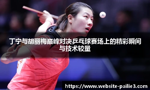 丁宁与胡丽梅巅峰对决乒乓球赛场上的精彩瞬间与技术较量